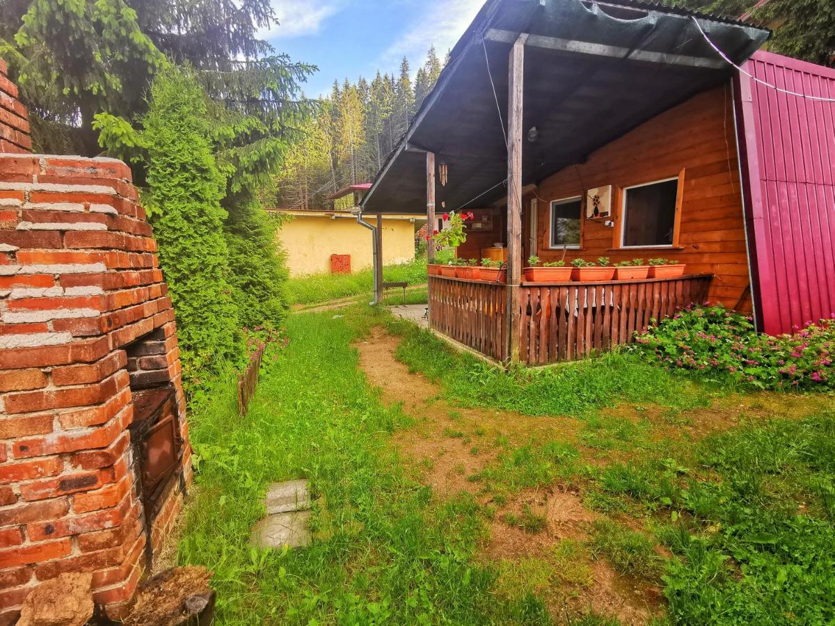 Orlino Holiday Park Sarnitsa Exterior foto
